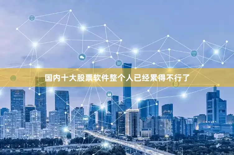 国内十大股票软件整个人已经累得不行了