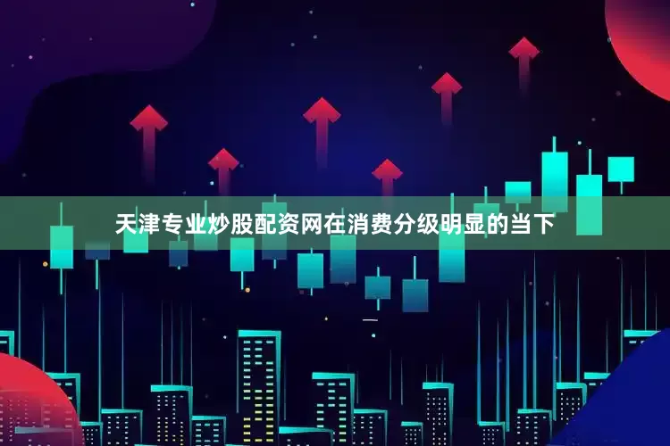 天津专业炒股配资网在消费分级明显的当下