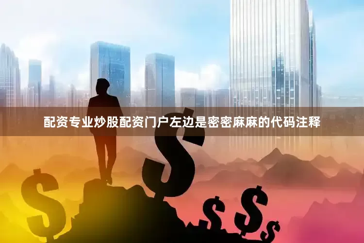 配资专业炒股配资门户左边是密密麻麻的代码注释